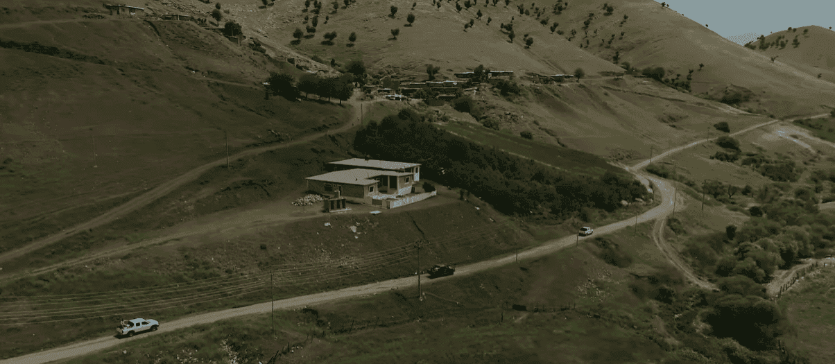 سۆراخی یەك، بڕینی دار و شێواندنی سروشتی کوردستان