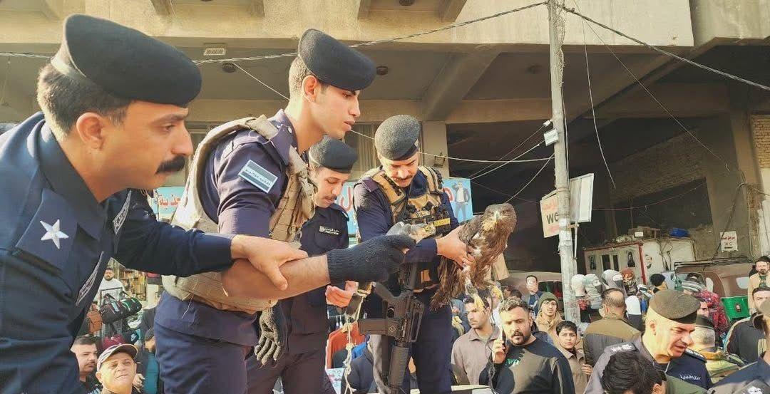 البيئة تشن حملة لمصادرة الطيور والحيوانات المهددة بالانقراض