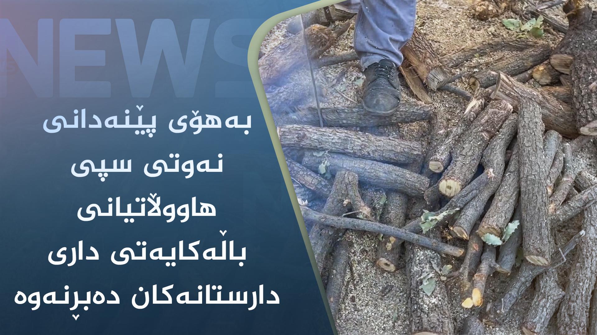 بەھۆی پێنەدانی نەوتی سپی ھاووڵاتیانی باڵەکایەتی داری دارستانەکان دەبڕنەوە