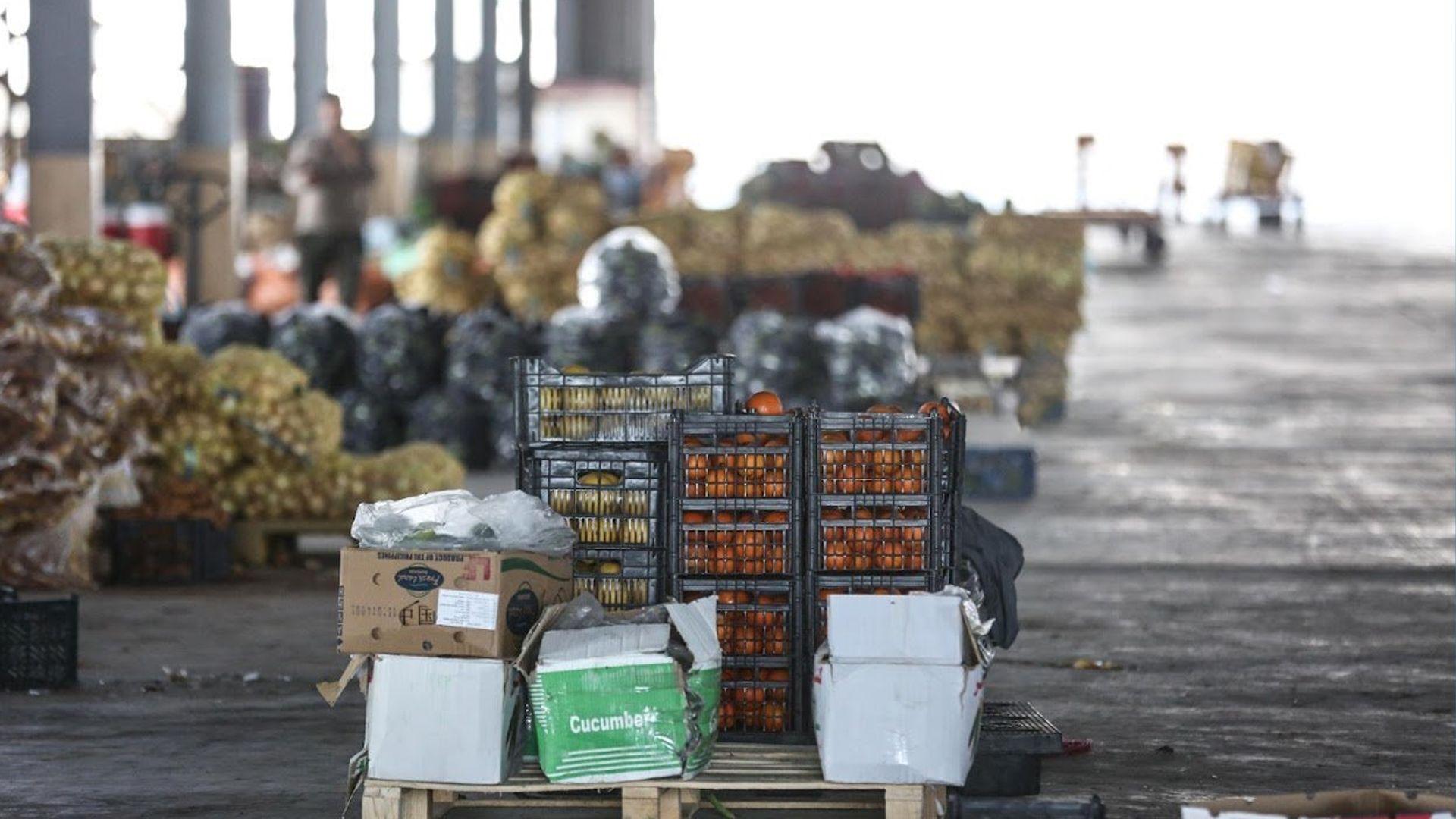 کشتوکاڵی عیراق قەدەغەی هاوردەکردنی 11 بەروبومی کشتوکاڵی راگەیاند