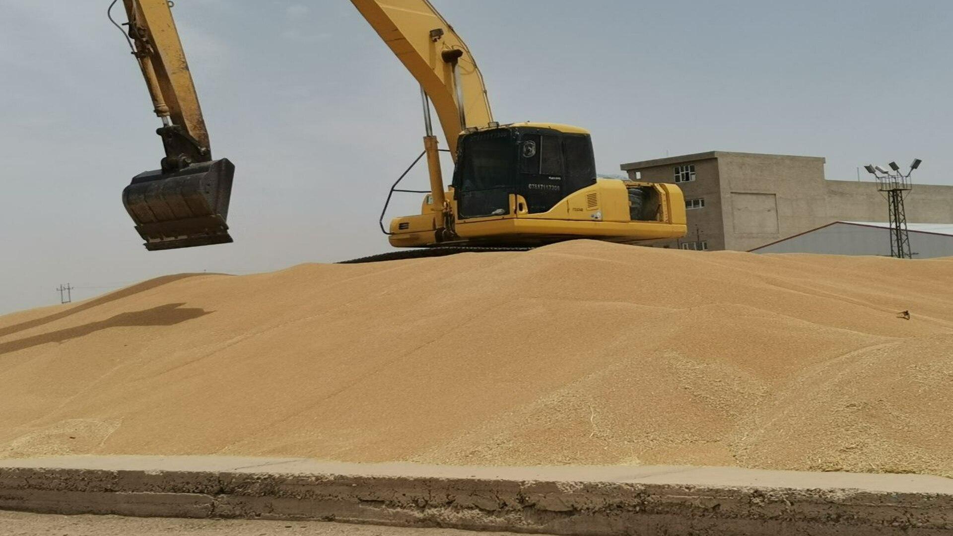 سایلۆی کەرکوک: تا ئێستا ١٠٥ ھەزار تۆن گەنم لە جوتیاران وەرگیراوە 