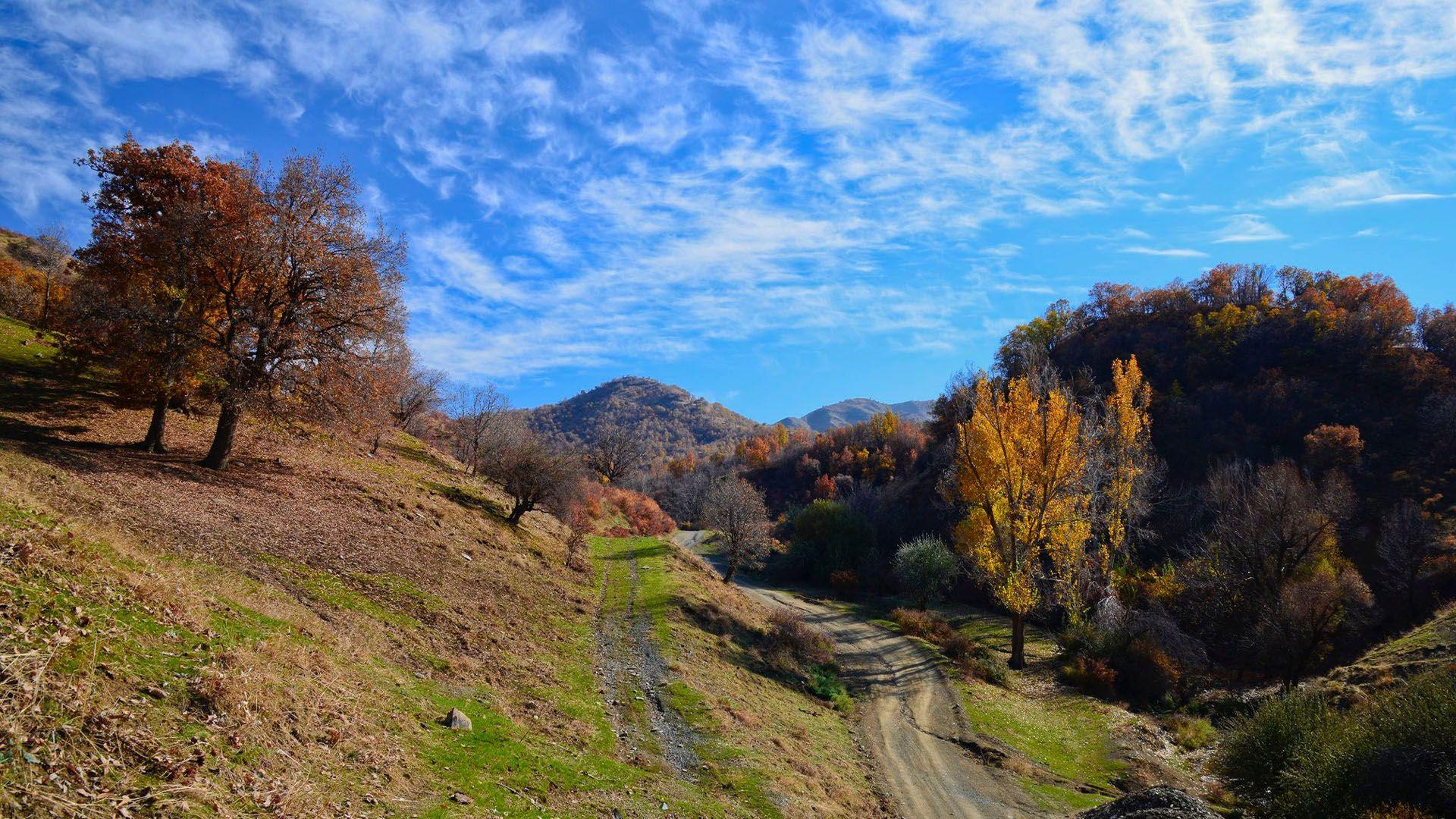 کەشناسی: پلەکانی گەرما روو لە بەرزبوونەوە دەکەن