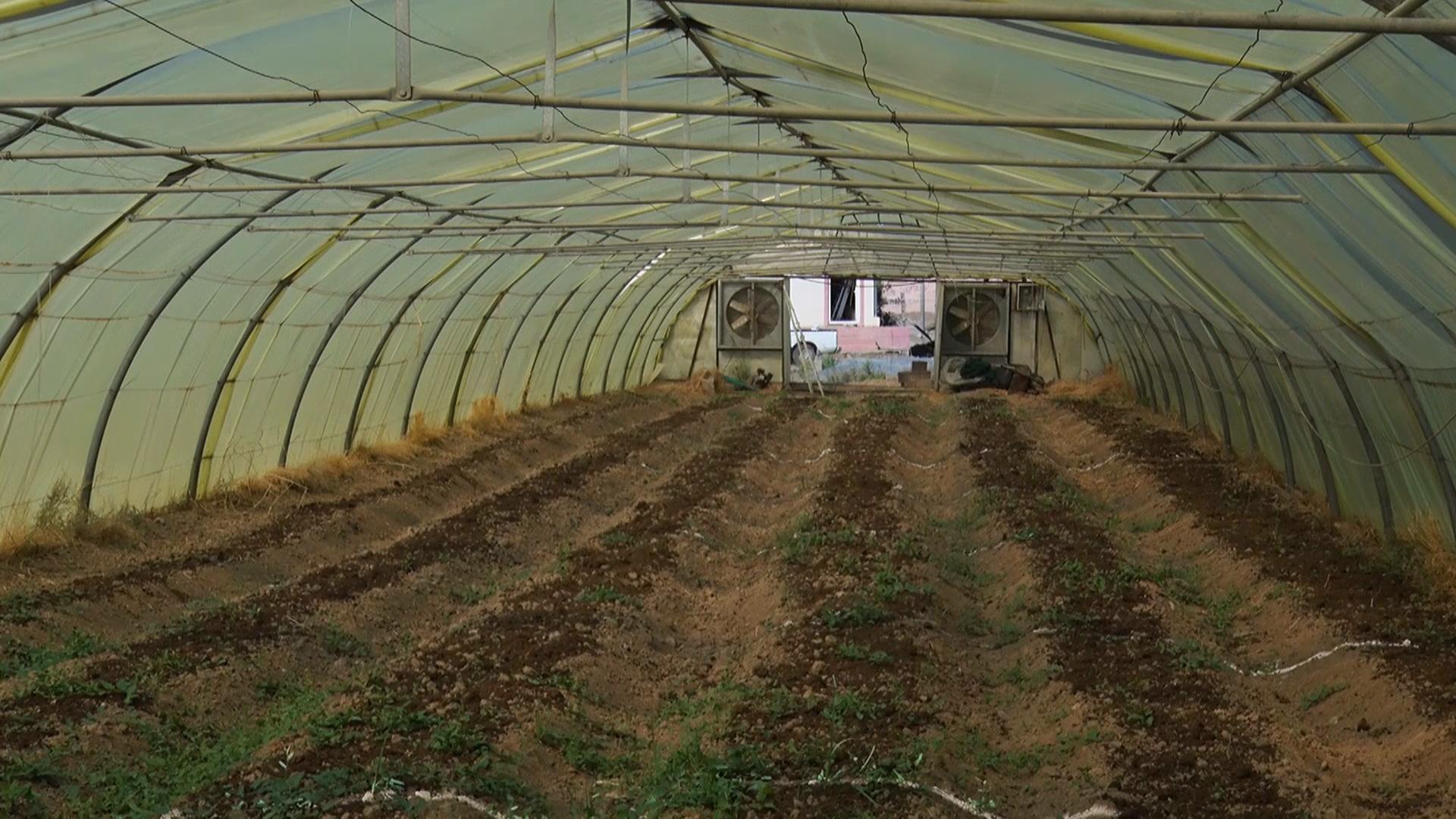 لە گەرمیان ئەزموونێكی نوێ لە چاندنی بەربوومی تێكەڵاو تاقیدەكرێتەوە 