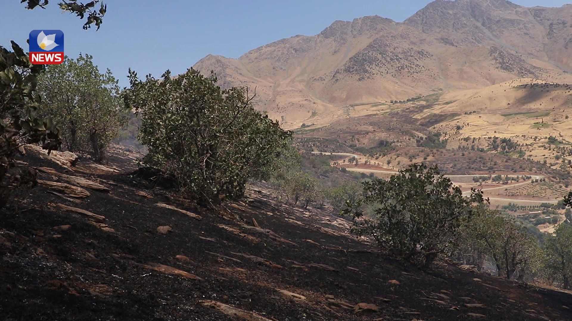 ساڵی ڕابردوو ١٤٠٠ ھاووڵاتی سەردانی ناوچە گەشتیارییەکانی برادۆستیان کردووە