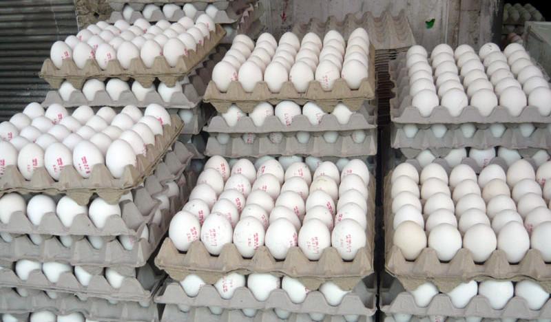 وەزارەتی کشتوکاڵی عێراق: رێگە بە ھاوردەکردنی ھێلکە لە ھەرێمی کوردستانەوە دەدرێت