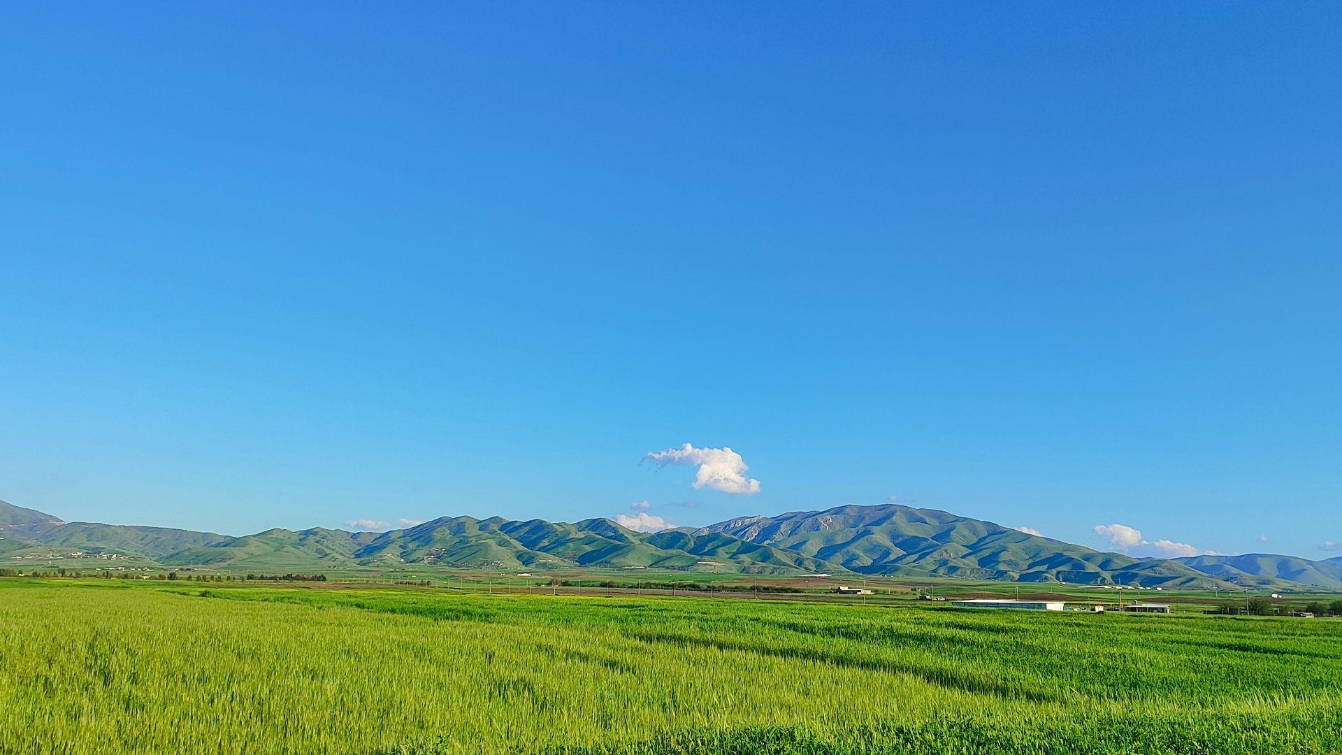 کەشانسی: پلەکانی گەرما نزمدەبنەوە