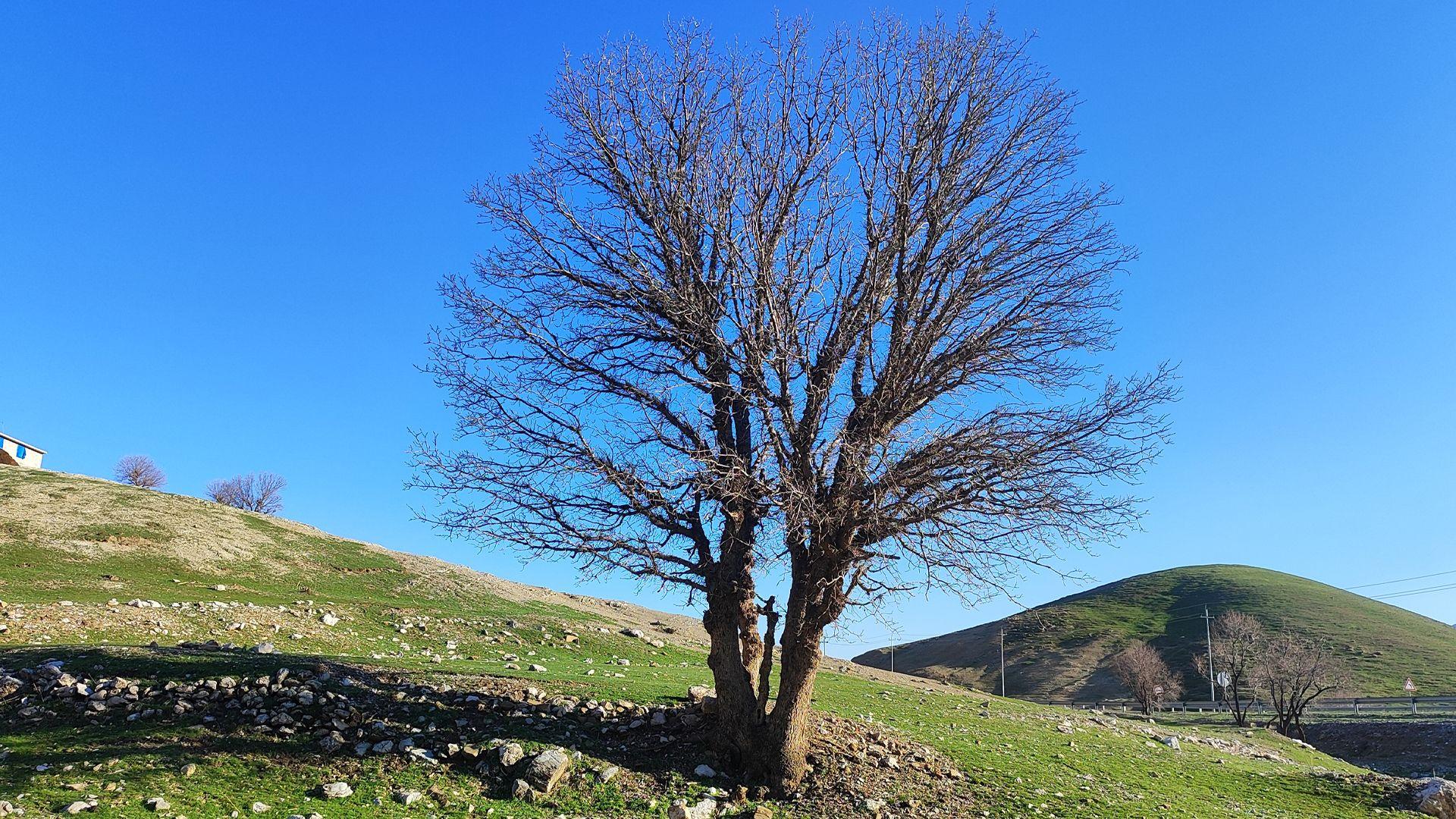 کەشناسی؛ ئاسمان ساماڵ دەبێت و باران نابارێت