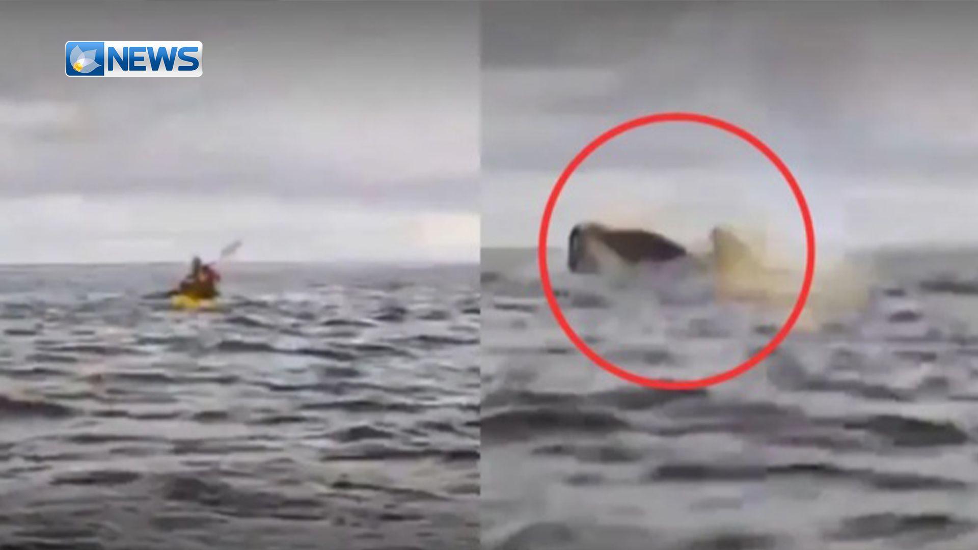 ڤیدیۆ.. وەرزشوانێک بە ئاستەم لە هێرشی نەهەنگێک رزگاری دەبێت