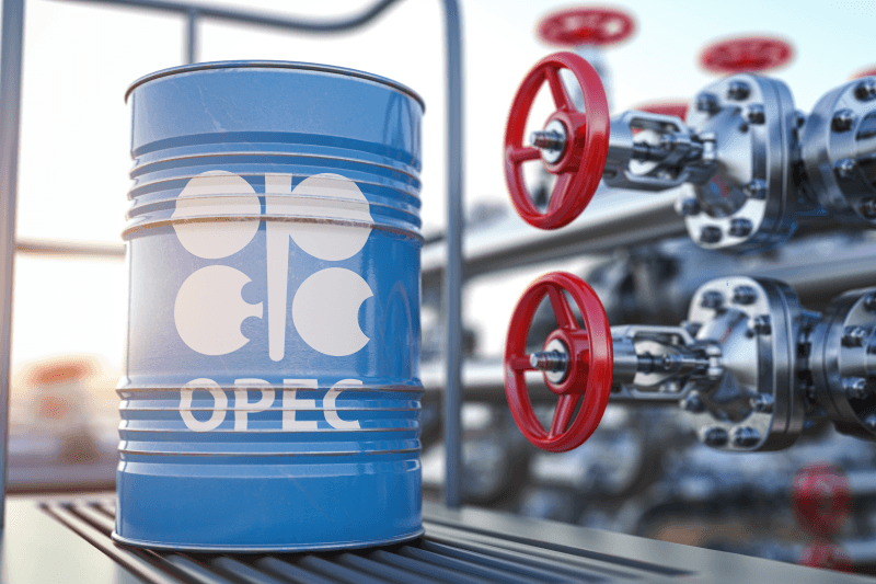 OPEC expects a demand slowdown in 2023