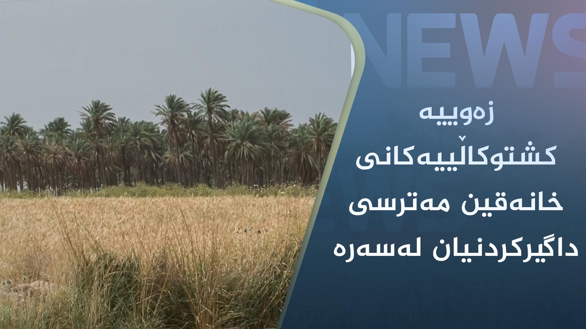 زەوییە کشتوکاڵییەکانی خانەقین مەترسی داگیرکردنیان لەسەرە