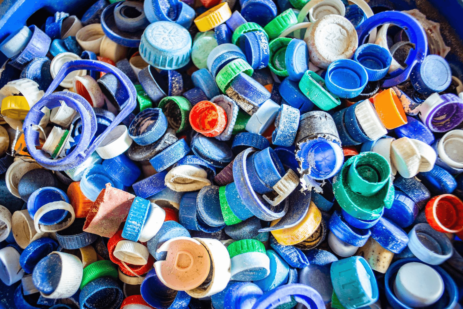 Game changing discovery can break down plastic in a week not decades ​