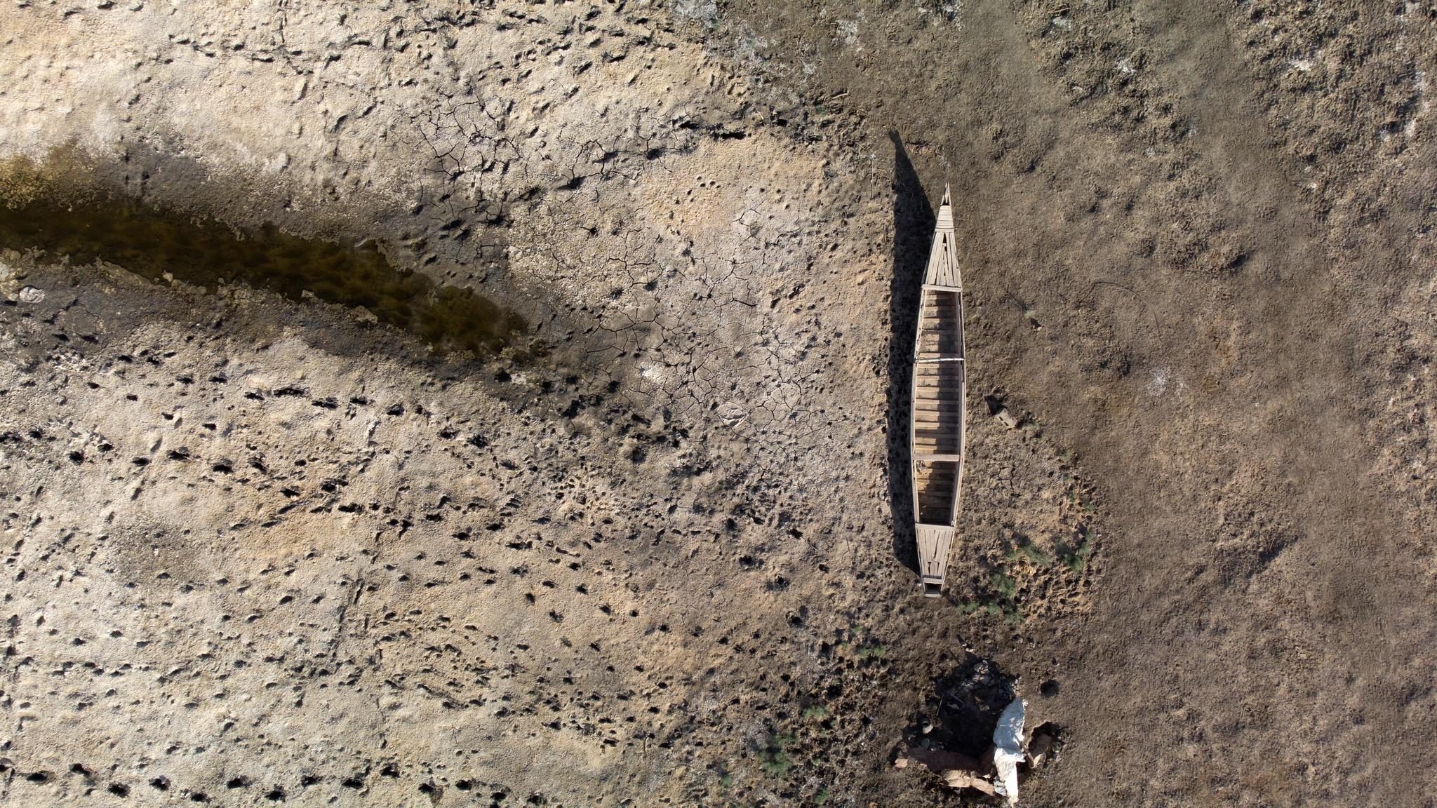 Iraqi marshes are drying out