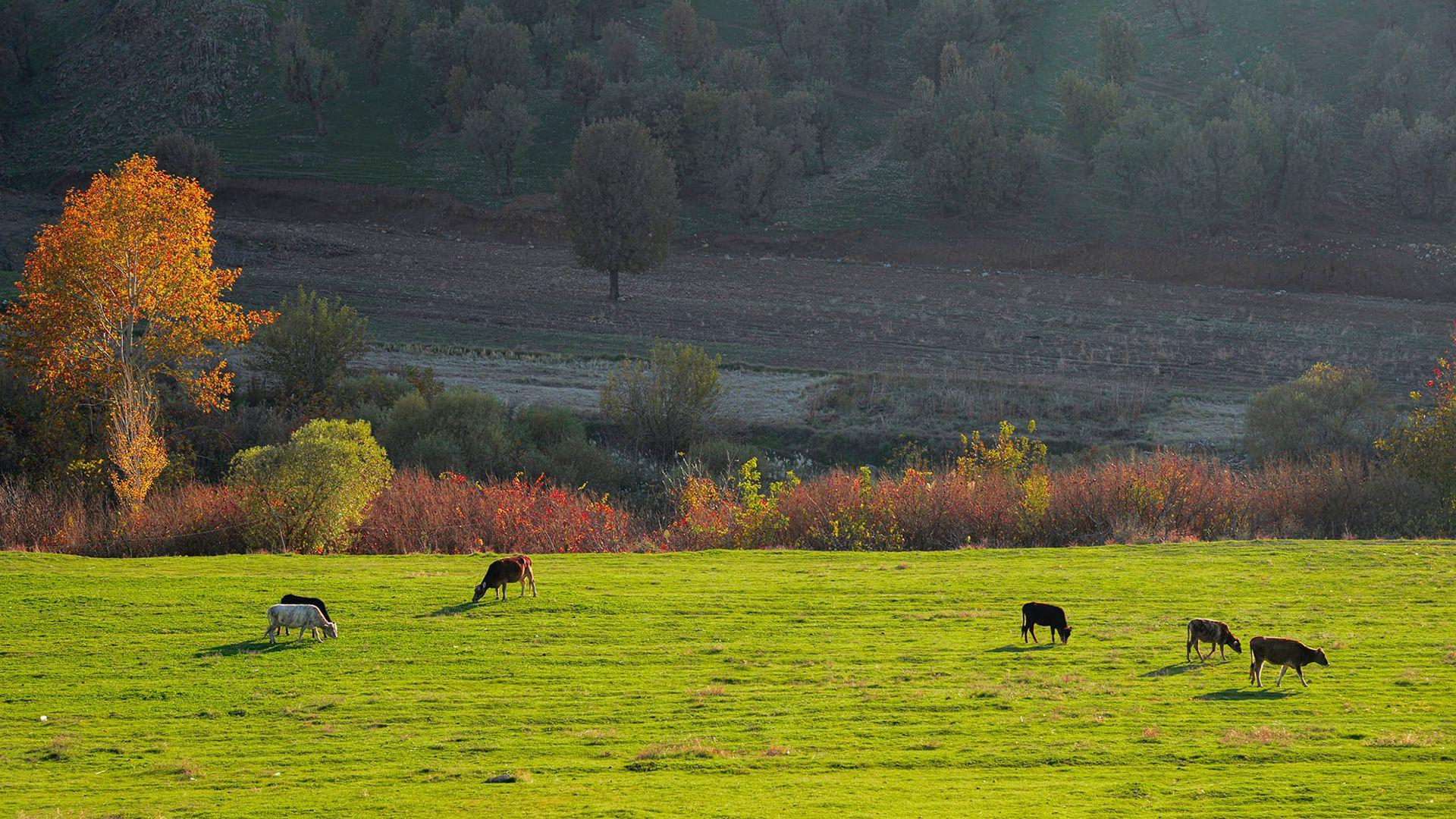 کەشناسی: پلەکانی گەرما لە بەرزبوونەوە بەردەوام دەبن