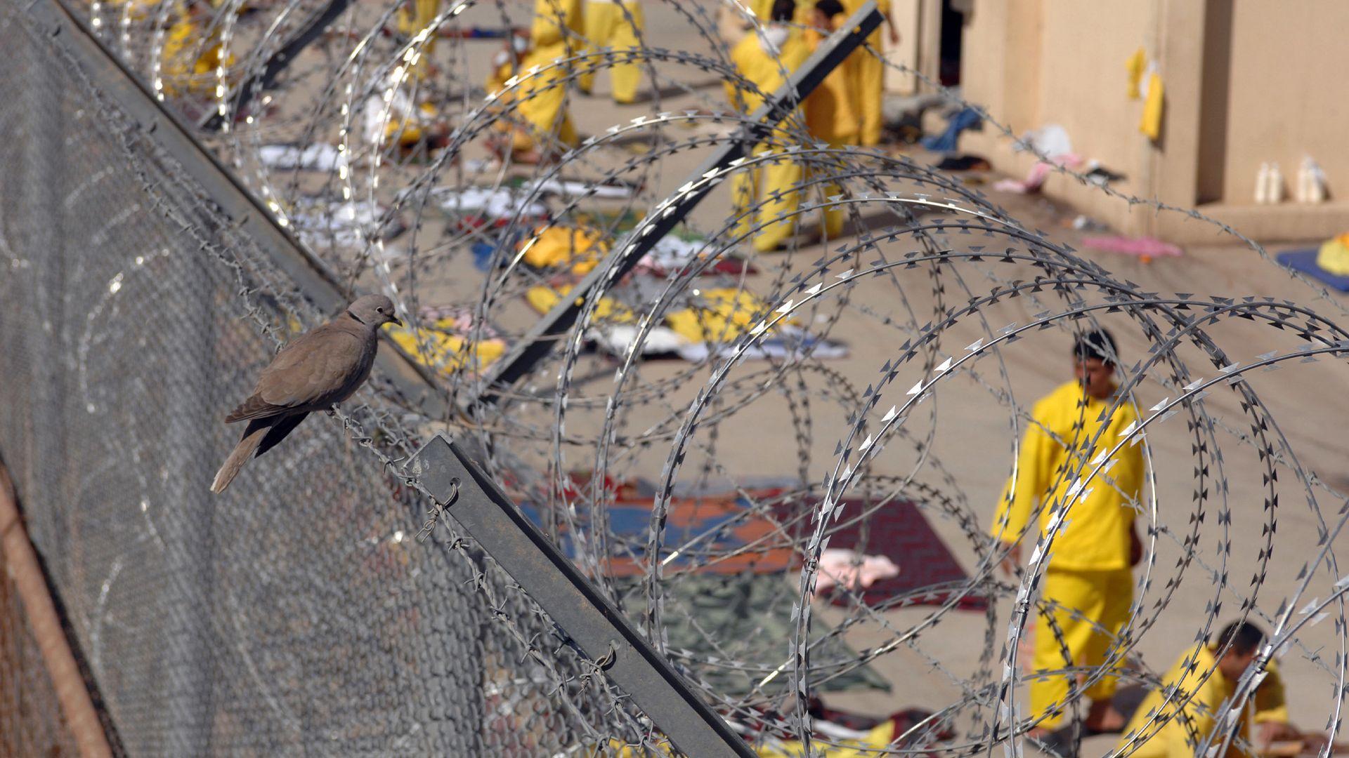 عیراق لێبوردنی گشتی دەردەکات و نیوەی زیندانەکان چۆڵ دەکات