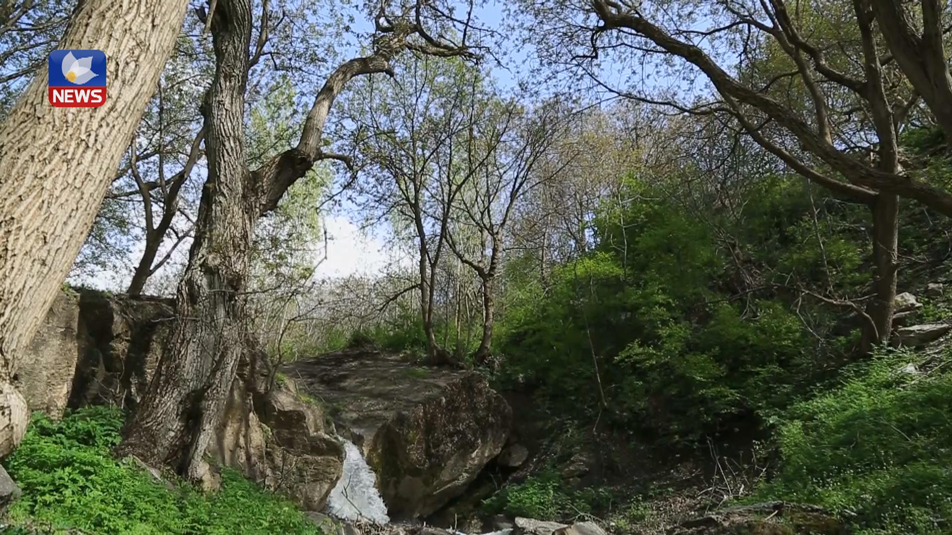 بە چەند ھۆکارێک ژینگەی ئیدارەی سۆران پیس دەبێت