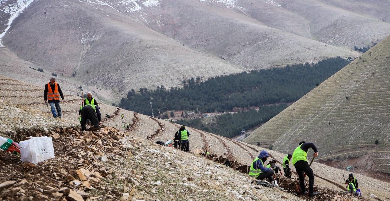 PUK campaign to plant million trees continues