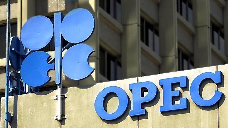OPEC expects oil demand to rise in the second half of 2022