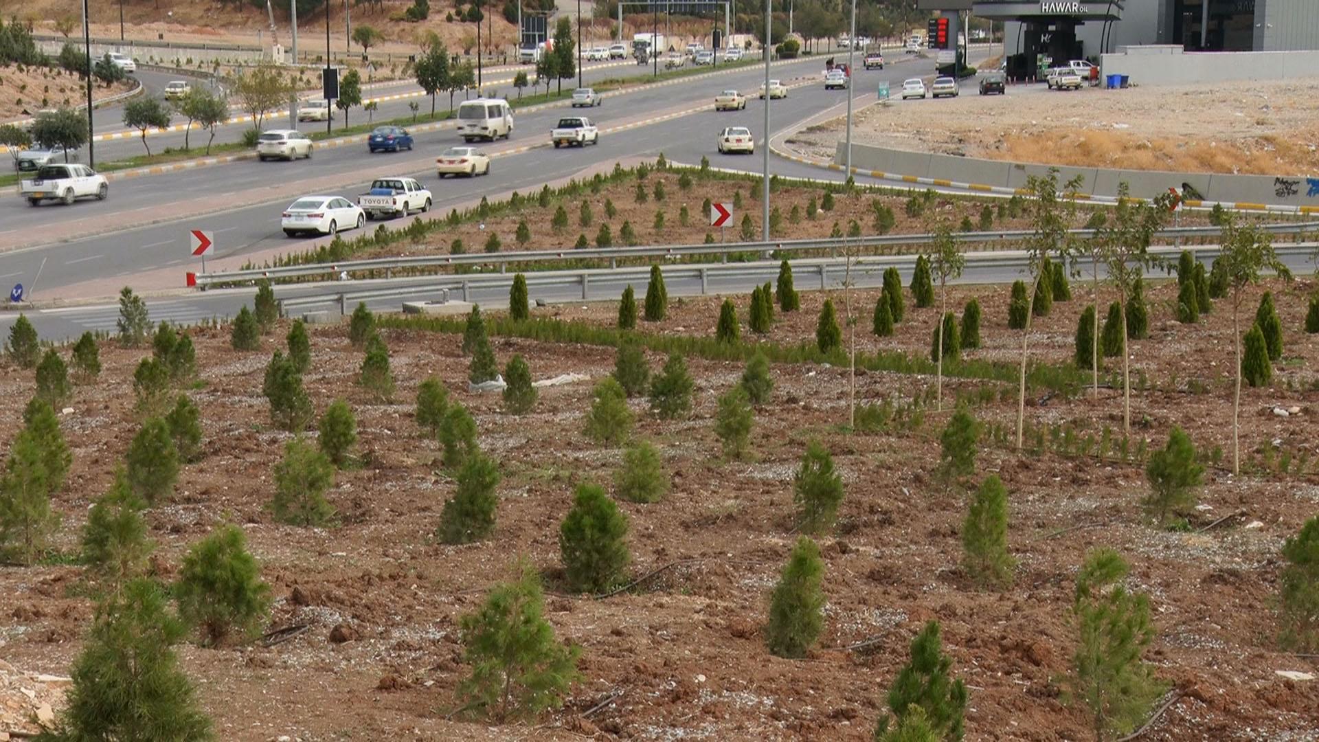 یەكێتی بودجەی سەوزكردنی شەقامەكانی سلێمانی تەرخانكردووە