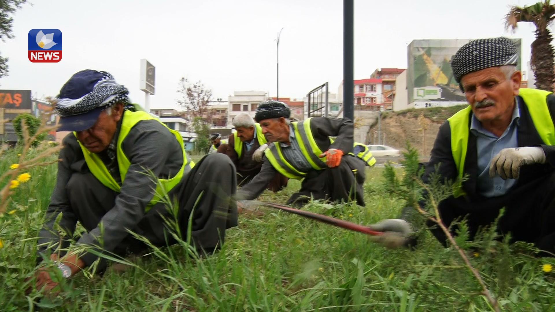 ژمارەیەک کرێکاری سەروو تەمەن ٦٠ ساڵ بۆ دەستکەوتنی پارویەک نان لە کارکردن بەردەوامن