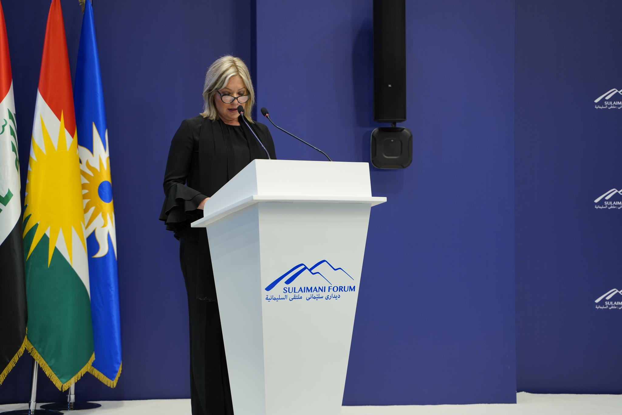 UNAMI chief: High oil prices cannot keep the country afloat