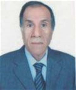 ماجد زيدان الربيعي opinion image