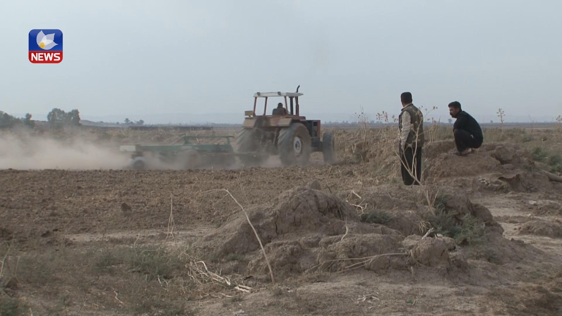 ئەمساڵ لە سنوری گەرمەسێر و خانەقین کەمترین جوتیار گەنم و جۆ دەچێنن
