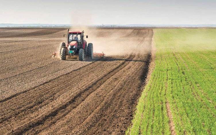 الزراعة تكشف عن مبادرة تصدير 350 الف طن من المحاصيل الزراعية الى الدول العربية واوروبا