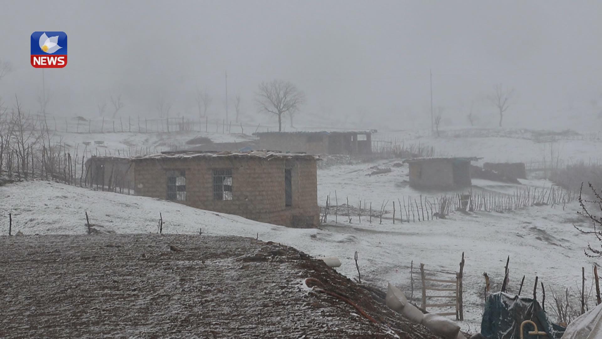 بەفربارینی زۆر زیانی لە ڕەز و باخەکانی سنوری برادۆست داوە