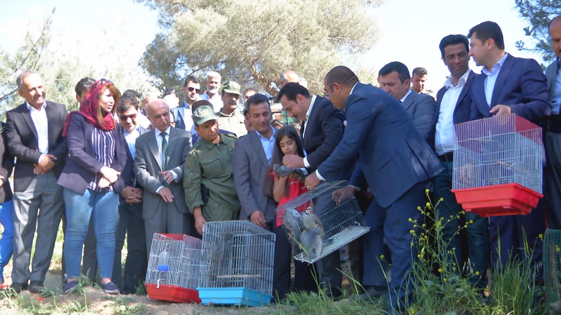 سەرۆکی دەستەی ژینگە: پێنج ناوچەی سەوزایی گەورە لە ھەرێم دروست دەکرێن