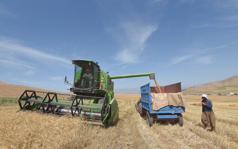 بغداد ترسل 24 مليار دينار إضافية لمستحقات قمح مزارعي كوردستان
