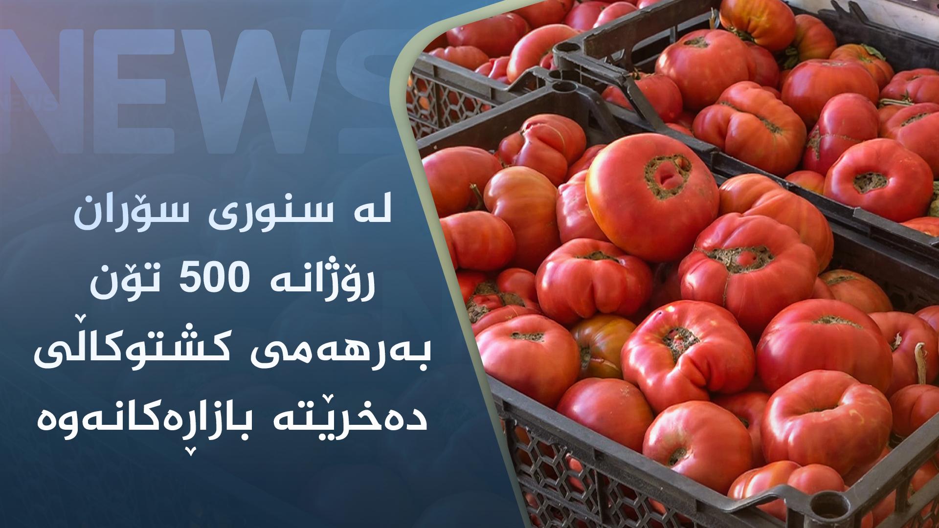 لە سنوری سۆران رۆژانە ٥٠٠ تۆن بەرھەمی کشتوکاڵی دەخرێتە بازاڕەکان