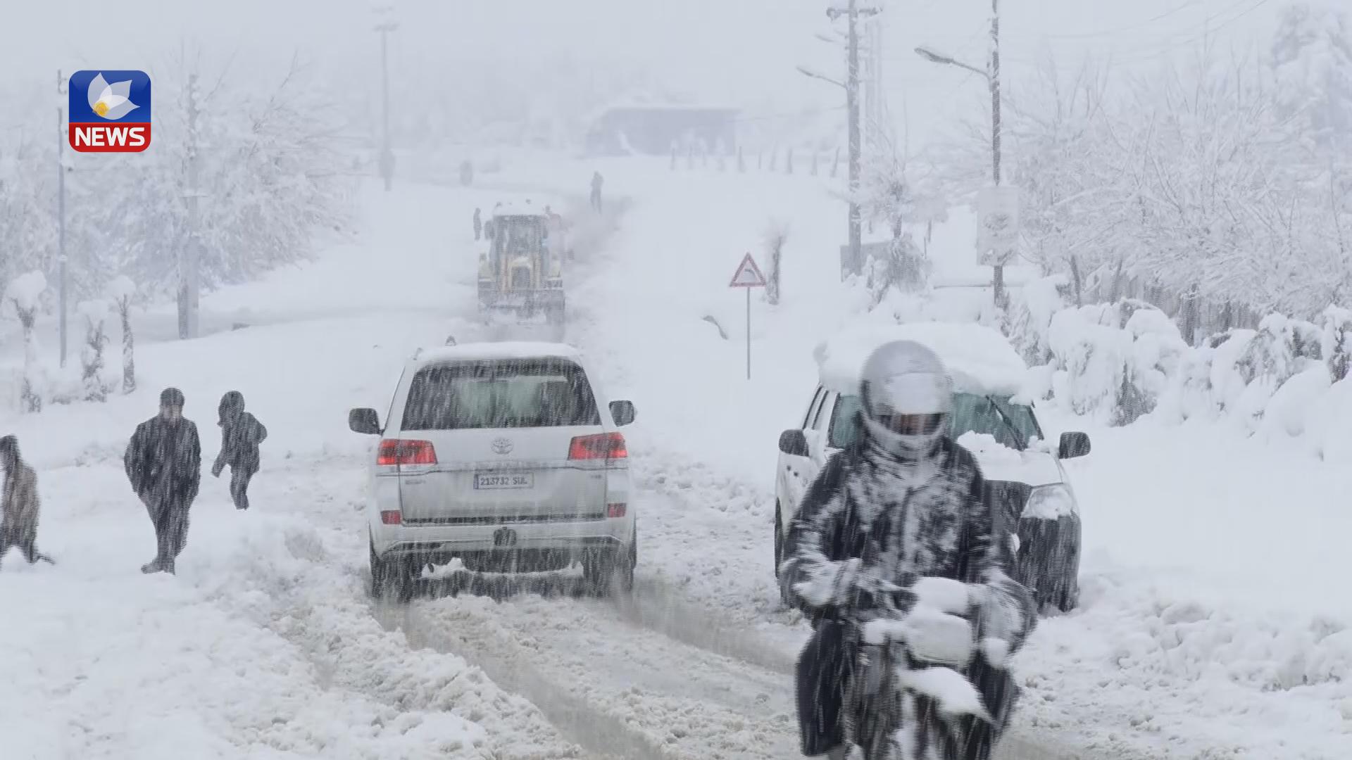 هەفتەی داهاتوو نەوتی سپی لە هەڵەبجە دابەش دەكرێت
