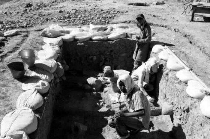 دۆزینەوەی چەند شوێنەوارێک لە ئیلام مێژوویەکی نوێ بۆ کشتوکاڵی کورد دەنووسێتەوە