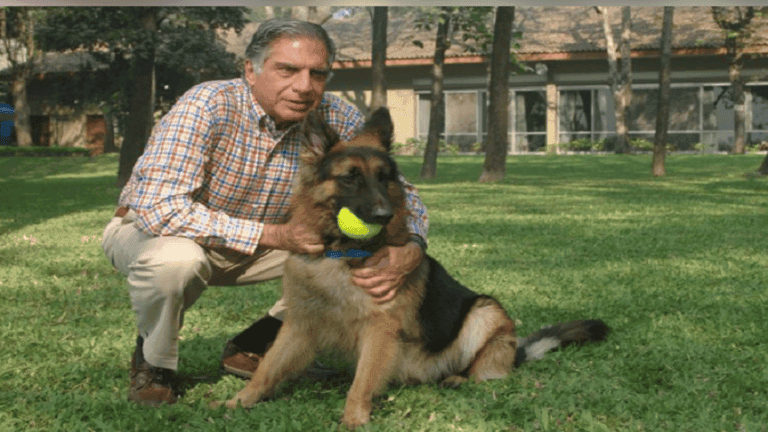 رجل أعمال هندي يوصي بتخصيص جزء كبير من ثروته لكلبه المدلل
