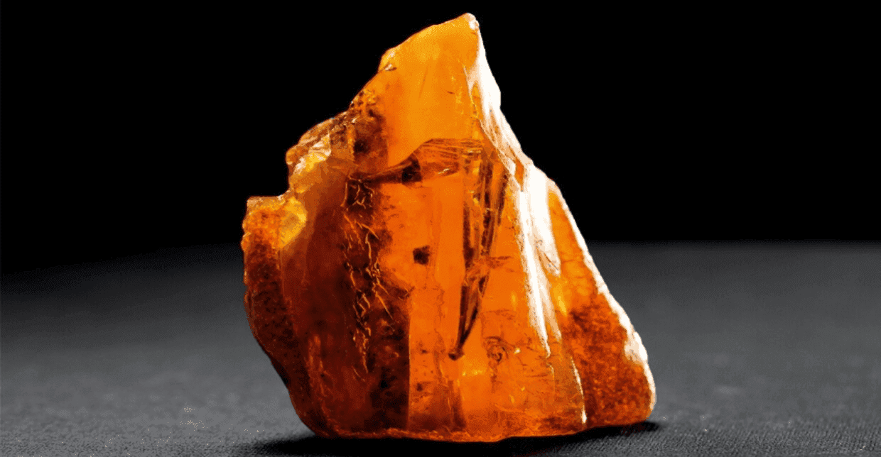 روسيا تعثر على حجر كهرمان نادر يقدر عمره بـ50 مليون سنة