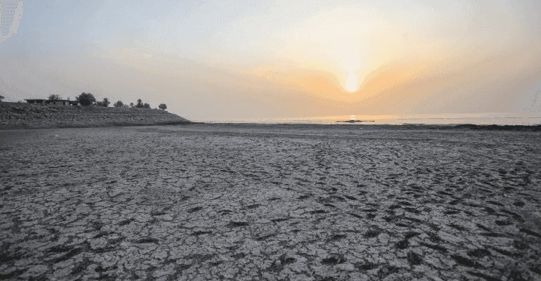 بعد جفاف الحبانية.. الخنازير والحيوانات المفترسة تهاجم أهالي الأنبار بحثًا عن الماء
