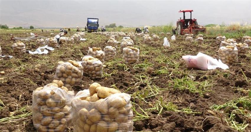 رێگە نادرێت بەرھەمی ناوخۆیی ھەرێم رەوانەی شارەکانی باشور و ناوەراستی عێراق بکرێت