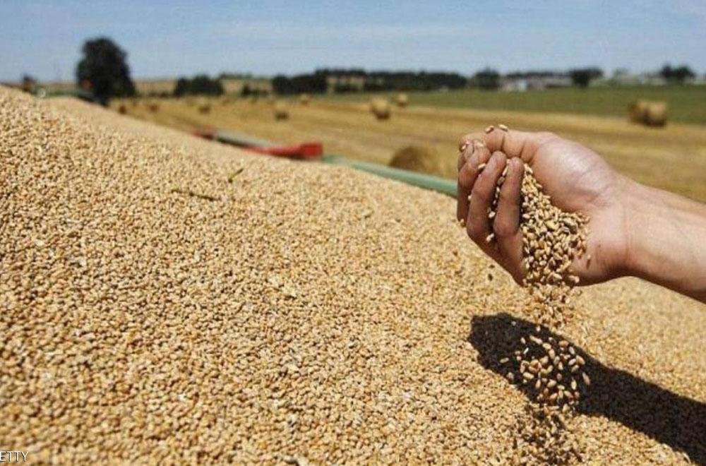 حکومەتی عێراق بڕی ١٠٠ ھەزار دیناری دیکەی بۆ تۆنێک گەنمی جوتیاران زیاد کرد