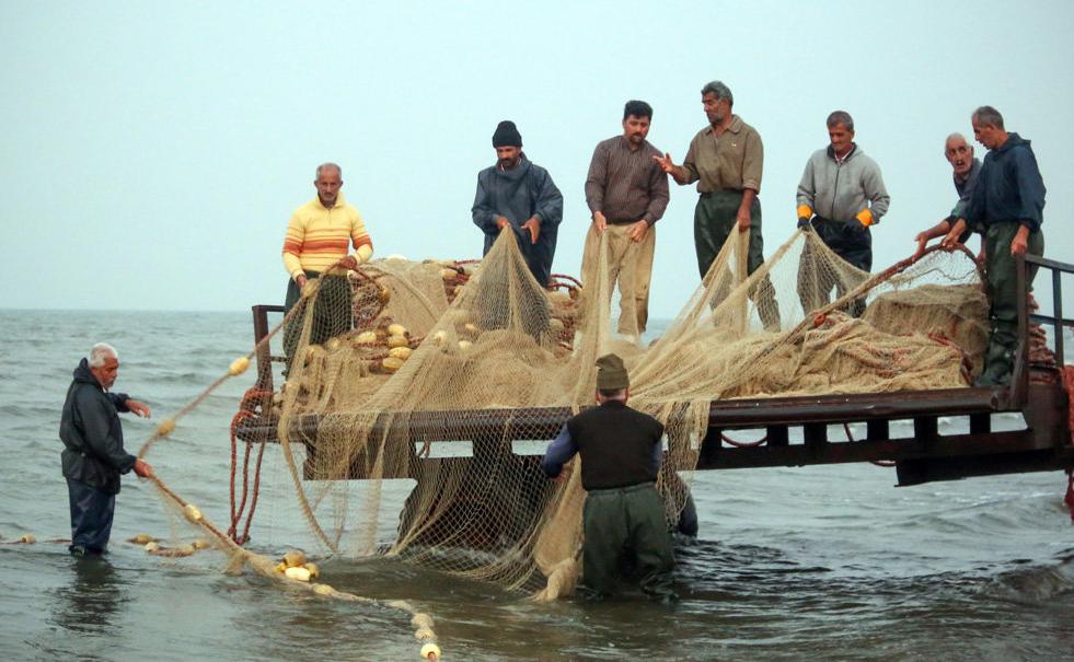 ساڵی ڕابردوو لە عێراقدا ٨١ ھەزار تۆن گۆشتی ماسی فرۆشراوە