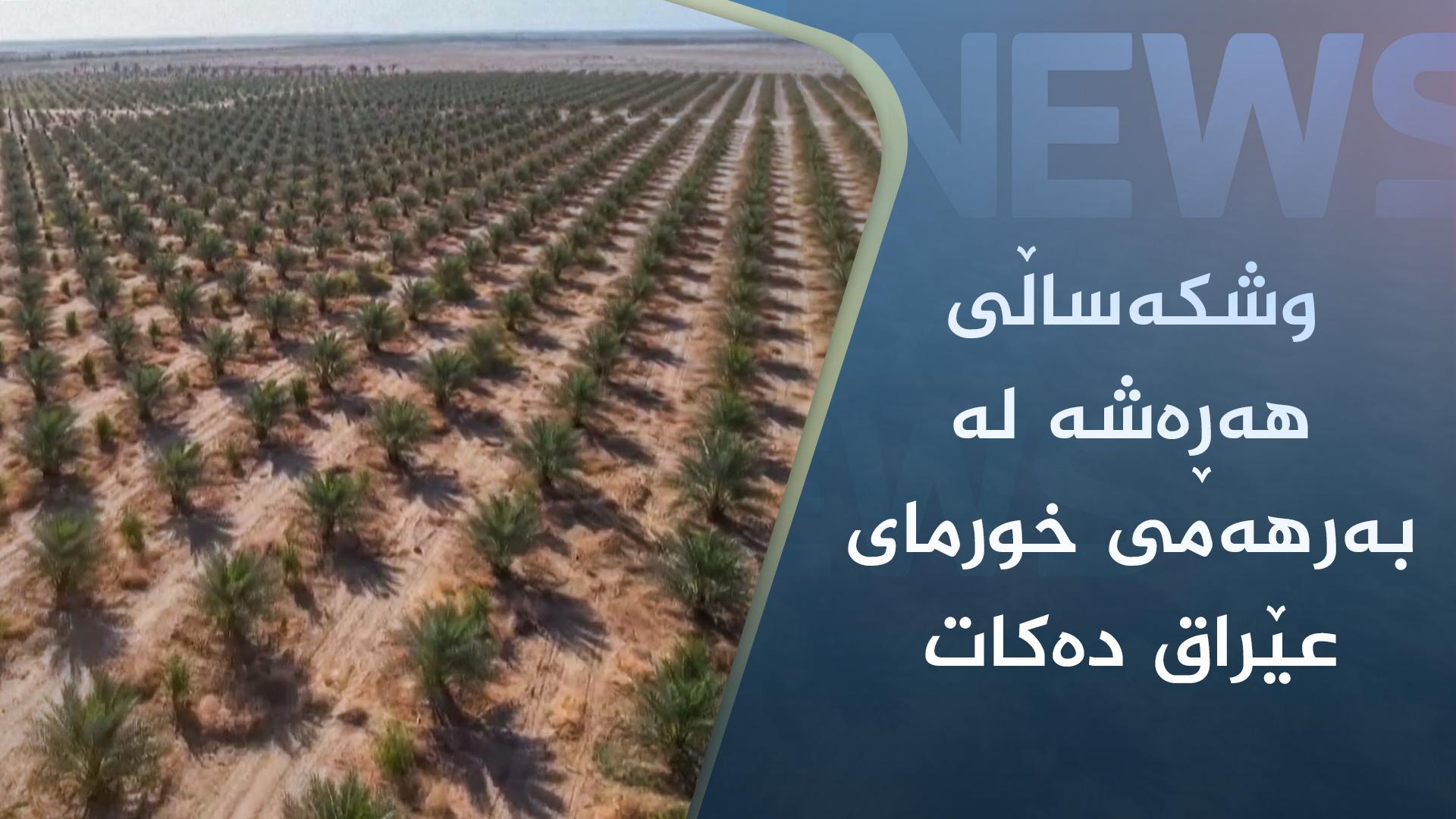 وشکەساڵی ھەڕەشە لە بەرھەمی خورمای عێراق دەکات