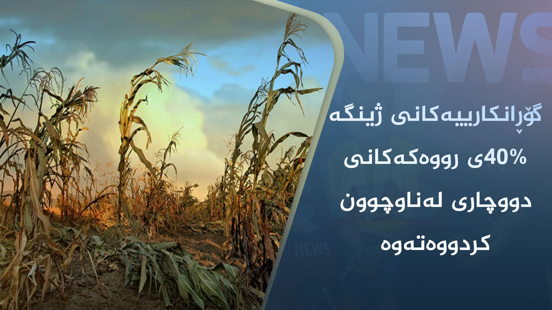 گۆڕانکارییەکانی ژینگە ٤٠%ی رووەکەکانی دووچاری لەناوچوون کردووەتەوە