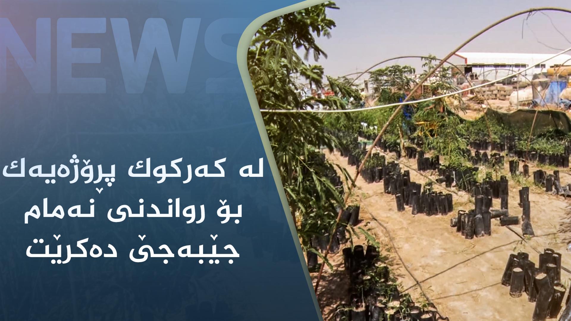 لە کەرکوک پڕۆژەیەک بۆ رواندنی نەمام جێبەجێ دەکرێت