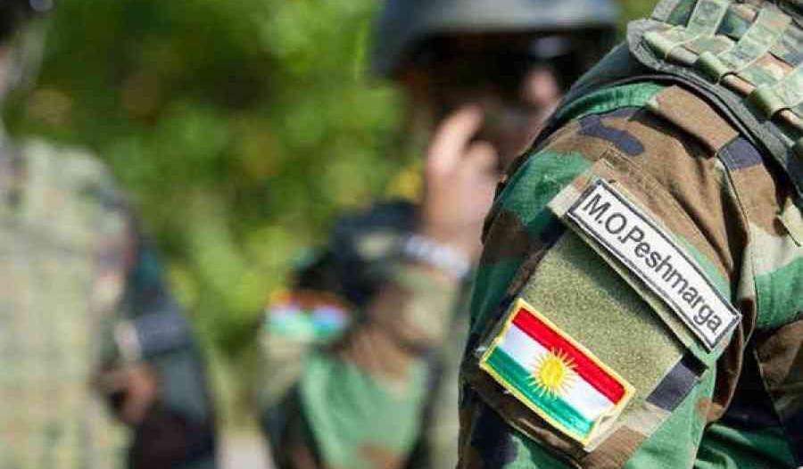 ھاوپەیمانان: ئەمریکا پشتیوانییەکی زۆر لە ھێزەکانی پێشمەرگە دەکات