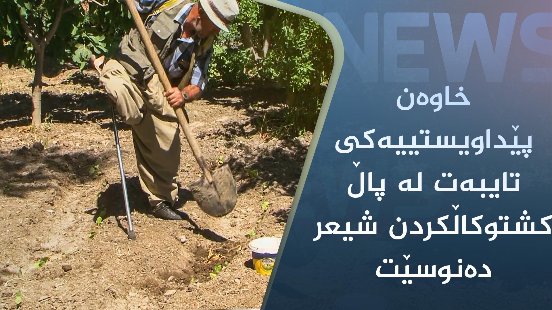 لە کۆمەڵگەی قادش خاوەن پێداویستییەکی تایبەت لە پاڵ کشتوکاڵکردن شیعر دەنوسێت