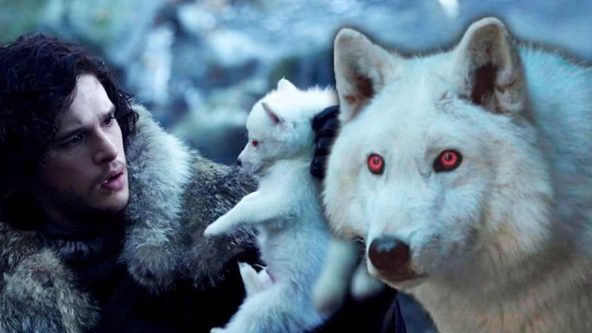 گورگەکانی زنجیرەی 'یاریی تەختە پادشاییەکان' گەڕێنرانەوە بۆ ژیان