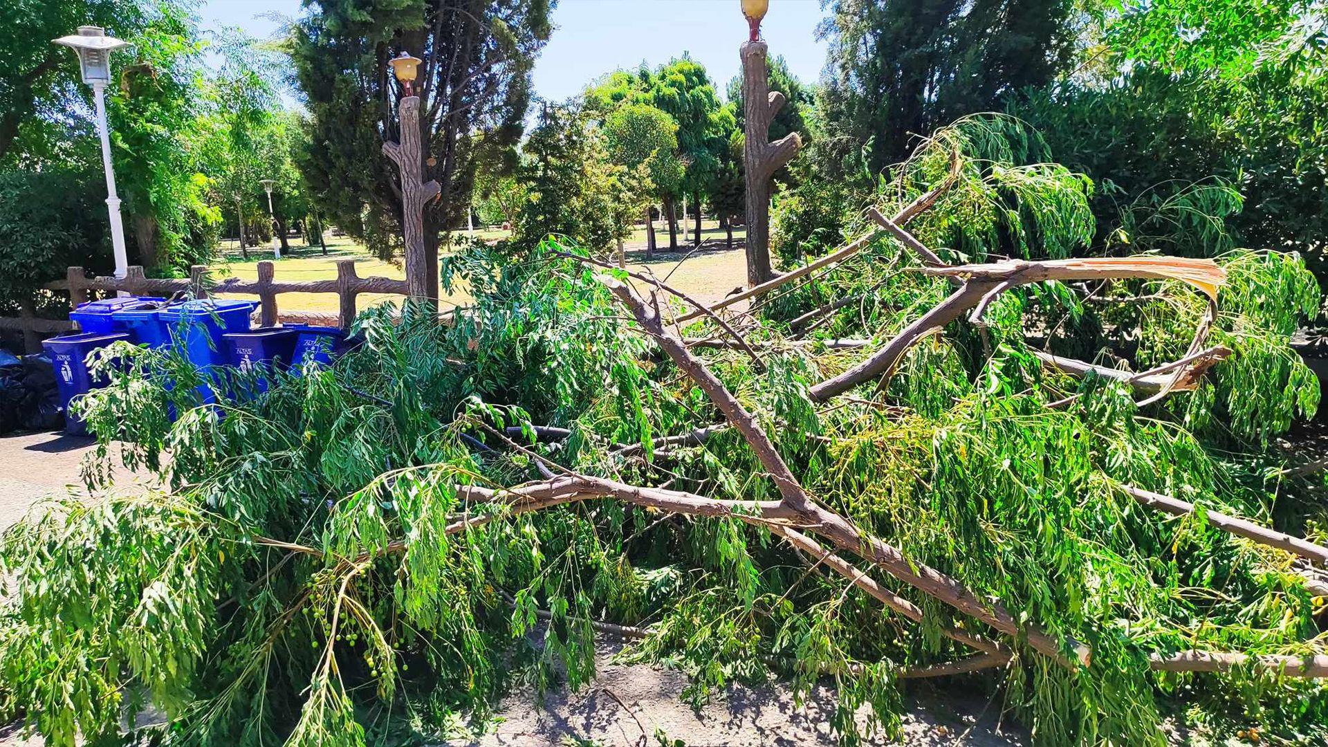 خێرایی رەشەباکەی شەوی رابردوو لە هەندێک ناوچە گەیشتووەتە نزیکەی 100 کیلۆمەتر لە سەعاتێکدا