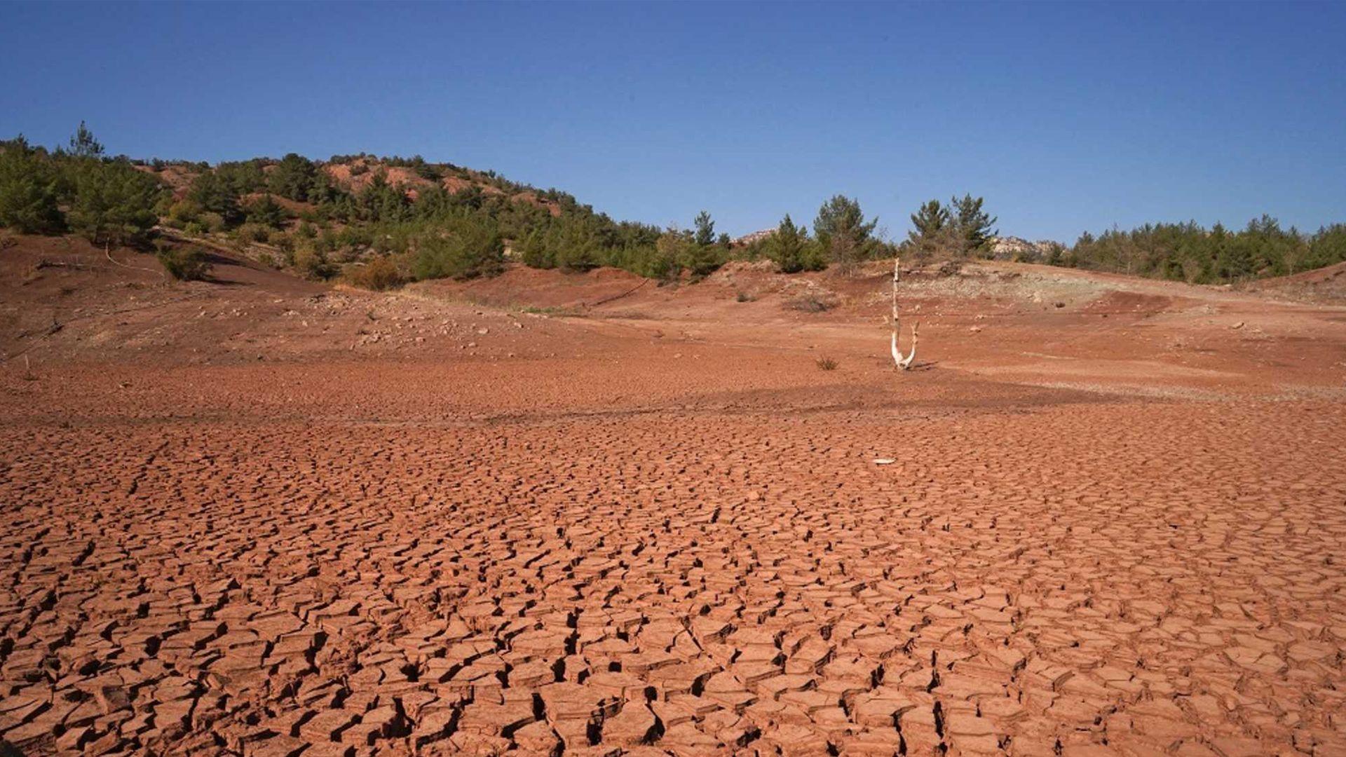وشكەساڵی زیانی بە 90٪ی كشتوكاڵی باكور و رۆژهەڵاتی سوریا گەیاندووە