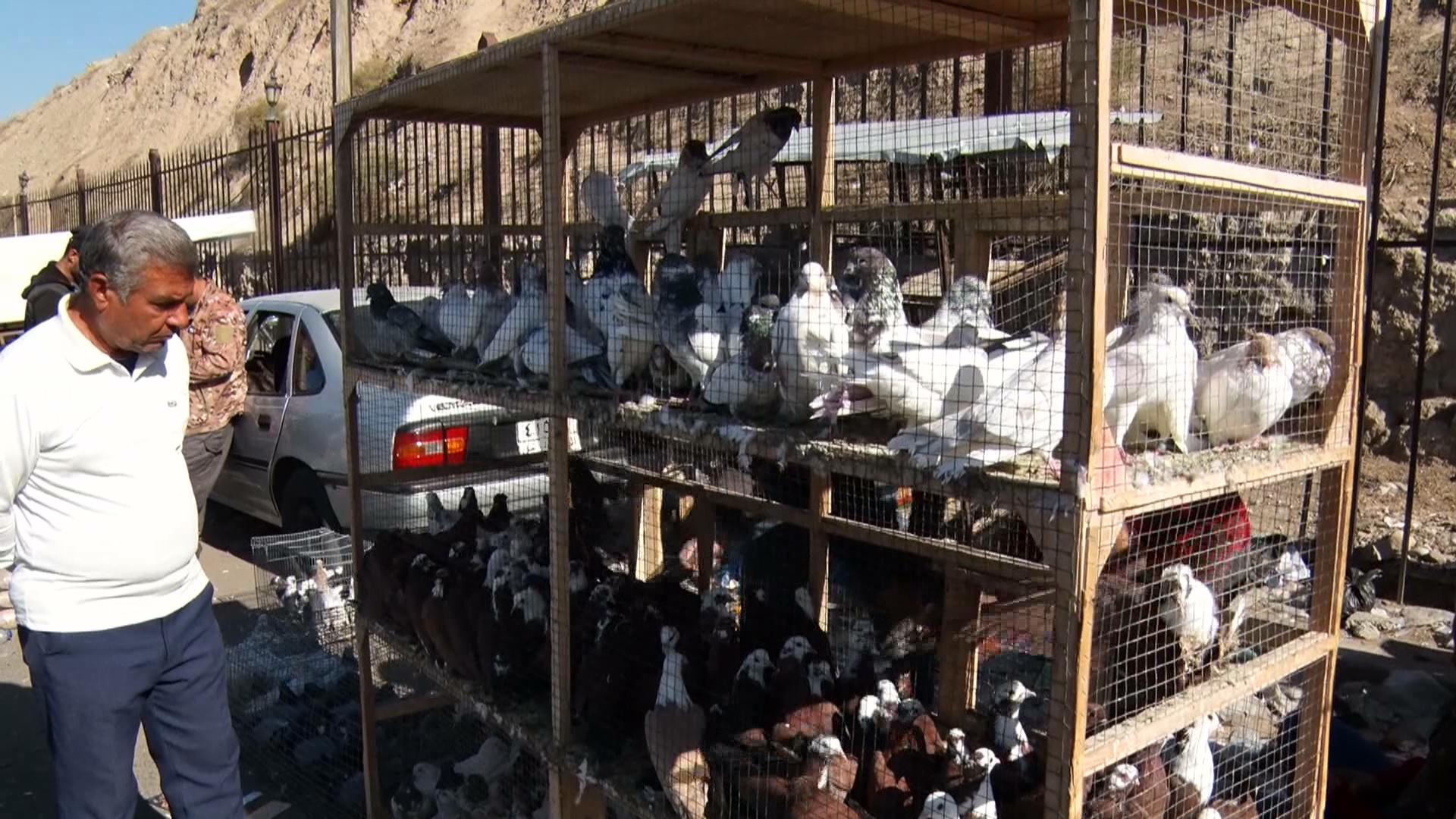 بازاڕی باڵندەکان سیمایەکی مێژویی  برایەتی و پێکەوەژیانە لە کەرکوک 