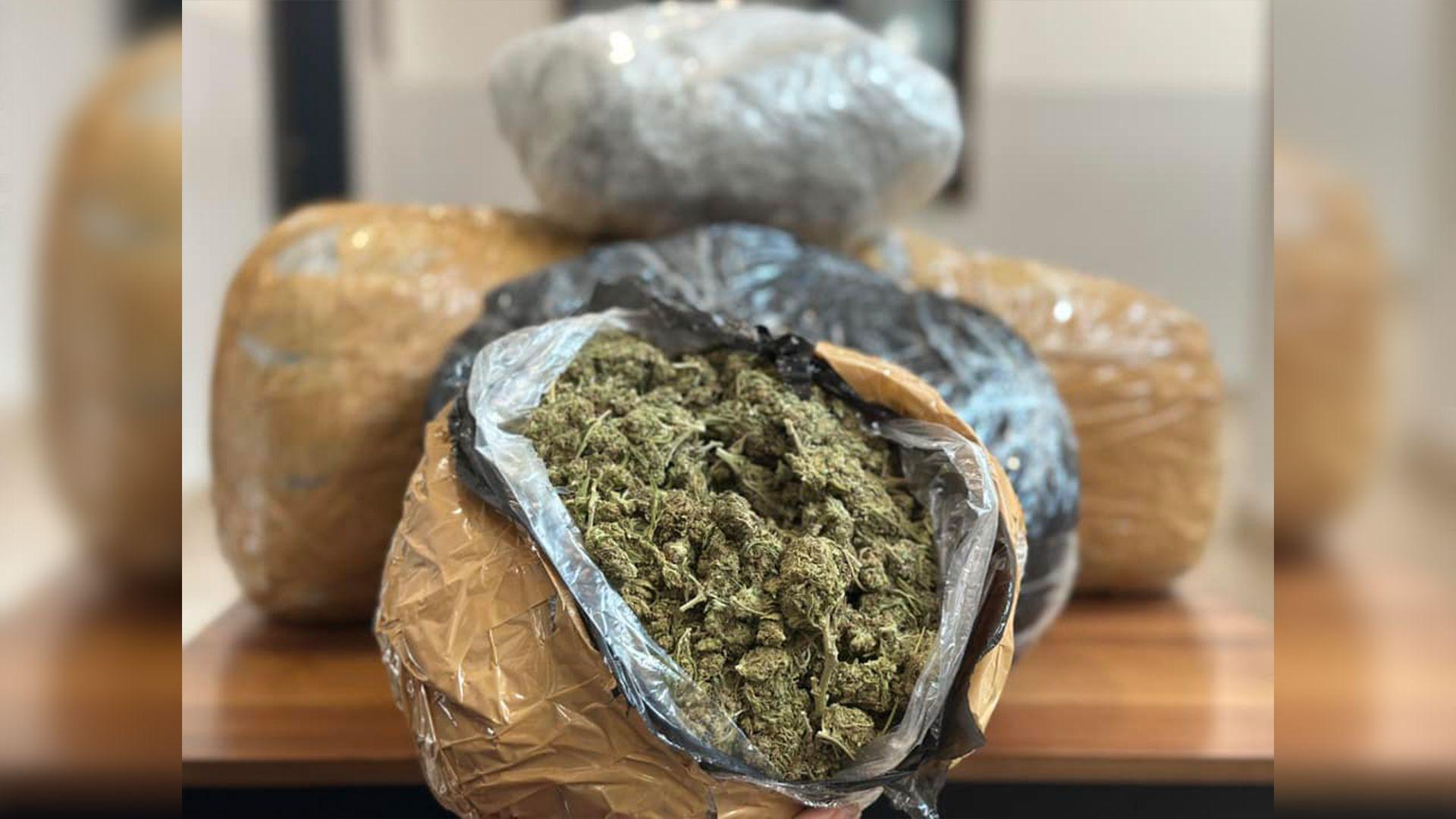 ئاسایشی سلێمانی: دەستمان بەسەر حەوت کیلۆگرام ماریجوانەدا گرتووە