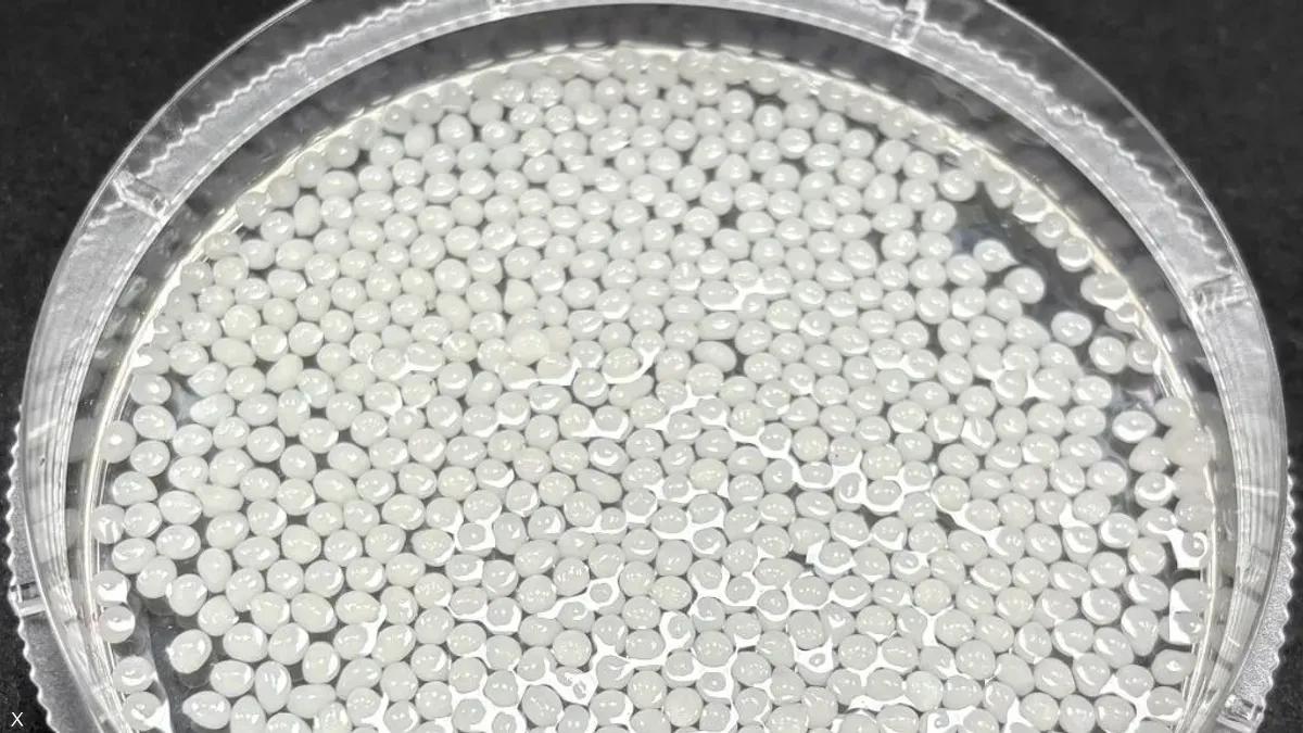 اكتشاف صيني.. مادة نباتية تثبت فعاليتها في إنقاص الوزن